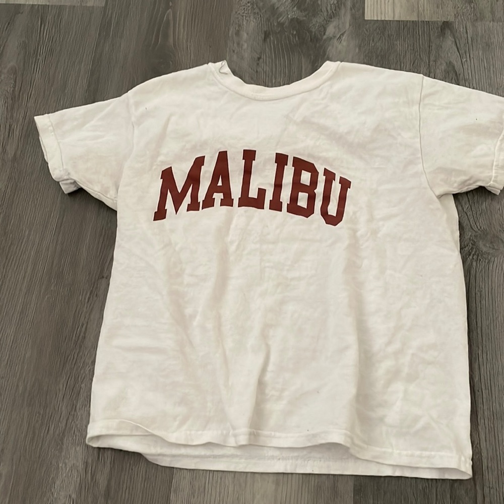Pacsun crop top